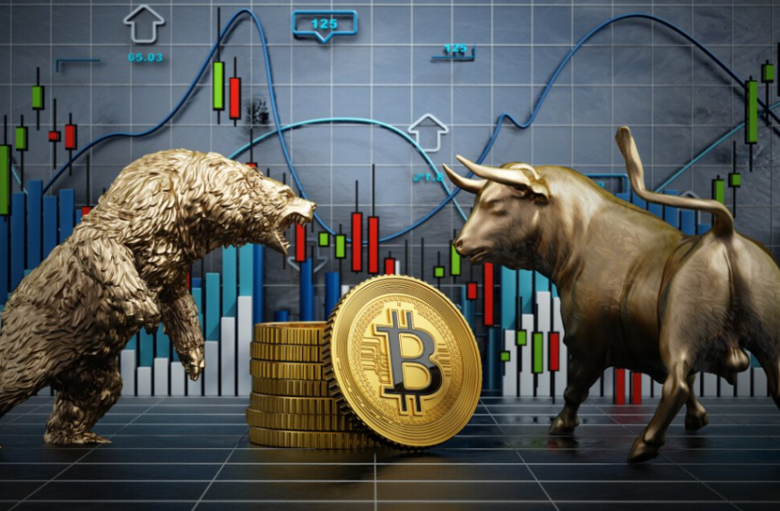 Bull Markets Vs Bear Markets in Crypto