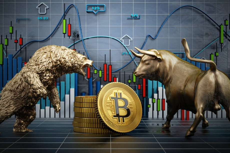 Bull Markets Vs Bear Markets in Crypto